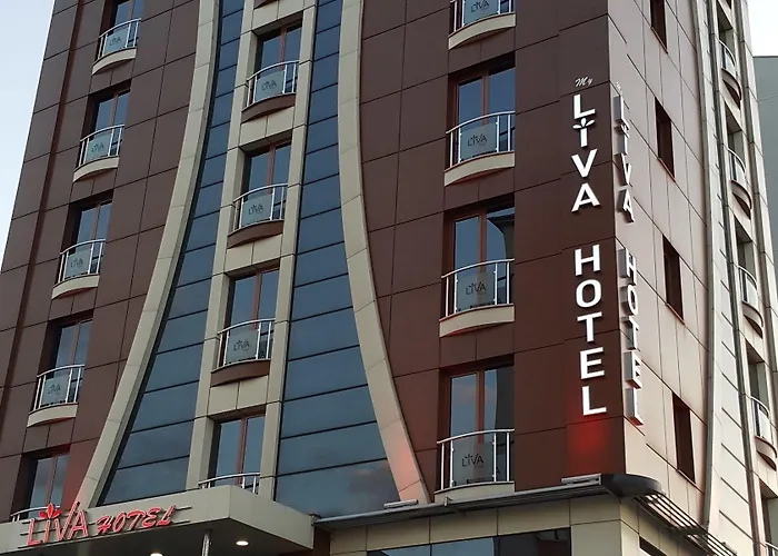 My Liva 3*